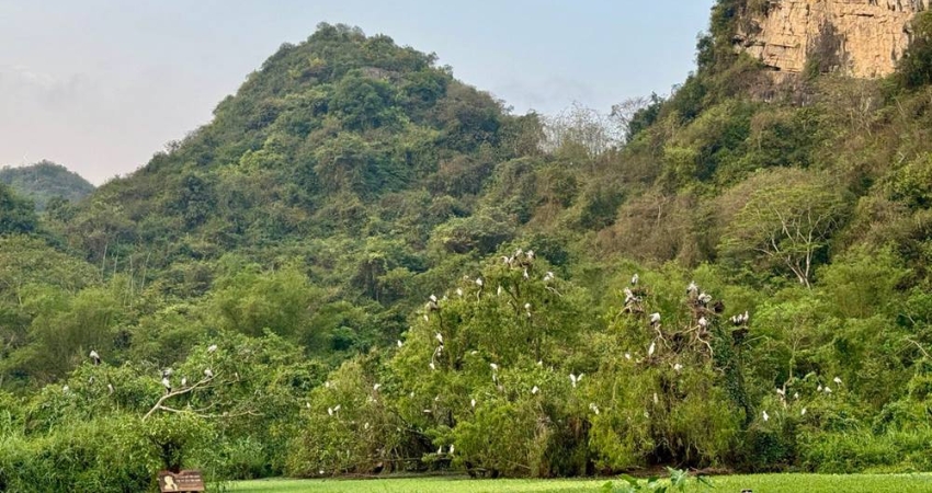 Ngắm núi đá vôi hùng vĩ tại vườn chim Thung Nham