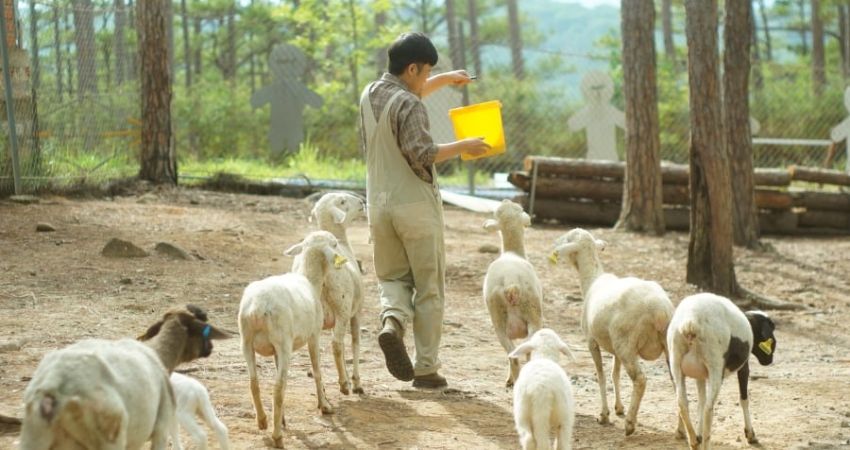 Chơi cùng các bé thú tại ZooDoo là trải nghiệm chữa lành hiệu quả. 