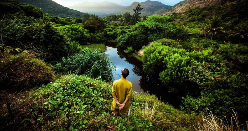 Trekking rừng nguyên sinh tại Hòn Bàng