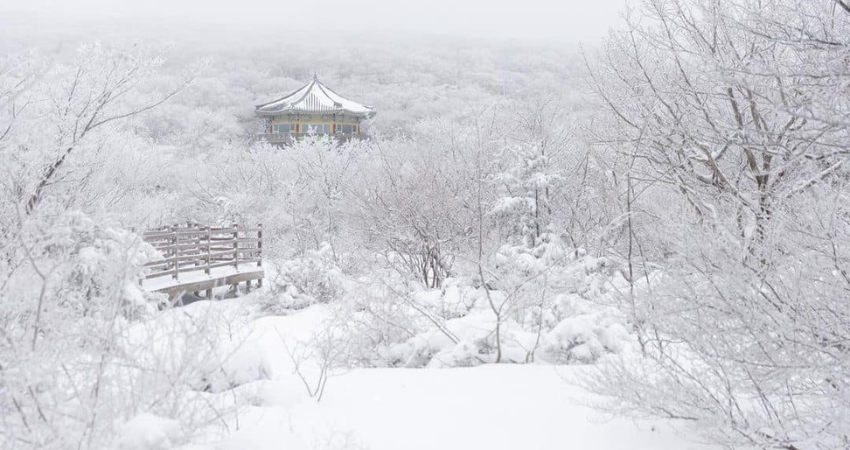 Núi Hallasan phủ tuyết trắng vào mùa đông, điểm đến hấp dẫn của Jeju.