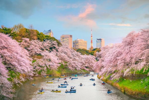 Du lịch Tokyo: Thành phố hiện đại hòa quyện với văn hóa truyền thống