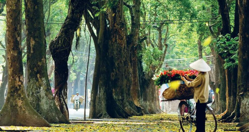 Trải nghiệm tour du lịch hàng không Hà Nội. 