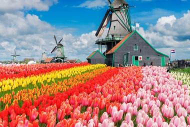 Tour Châu Âu 15N: Từ Hà Nội - Đức - Áo - Ý - Thụy Sĩ - Luxembourg - Hà Lan - Bỉ - Pháp, Bay Vietnam Airlines