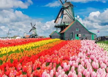 Tour Châu Âu 15N: Từ Hà Nội - Đức - Áo - Ý - Thụy Sĩ - Luxembourg - Hà Lan - Bỉ - Pháp, Bay Vietnam Airlines