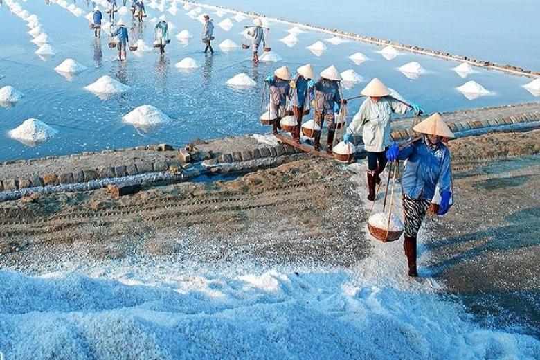 Ruộng Muối Ninh Hải