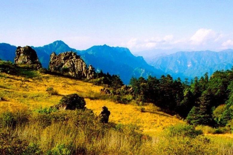 Thần Nông Giá