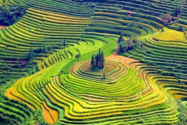 Tour Du Lịch Tây Bắc 5N4Đ: Từ Hà Nội - Sapa - Lai Châu - Điện Biên - Mộc Châu - Mai Châu + Ô tô