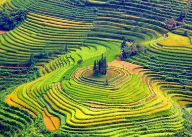 Tour Du Lịch Tây Bắc 5N4Đ: Từ Hà Nội - Sapa - Lai Châu - Điện Biên - Mộc Châu - Mai Châu + Ô tô
