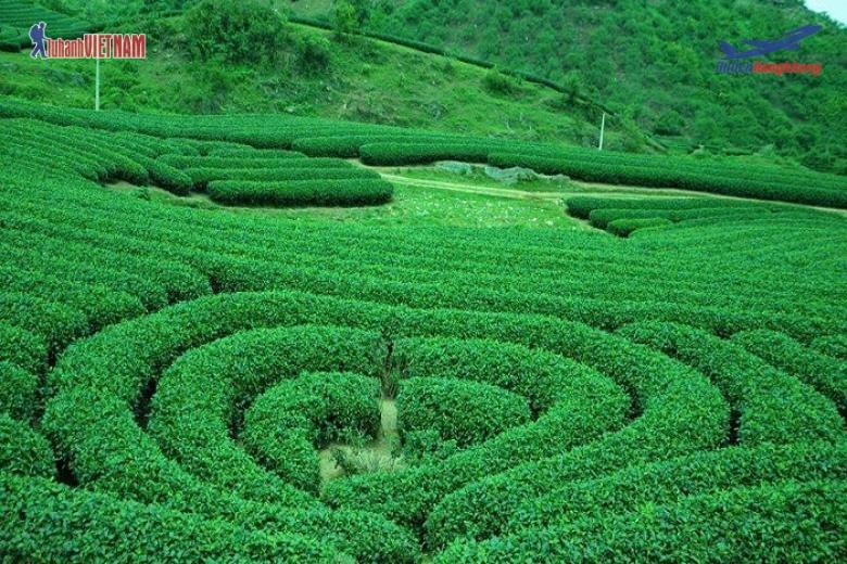 điểm đến du lịch tây bắc