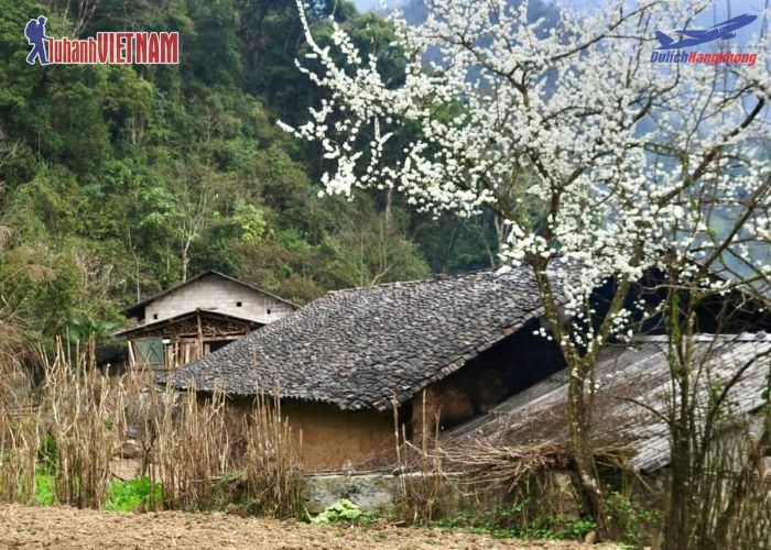 Vui chơi tham quan
