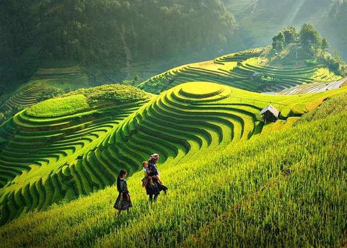 Ruộng bậc thang Sapa