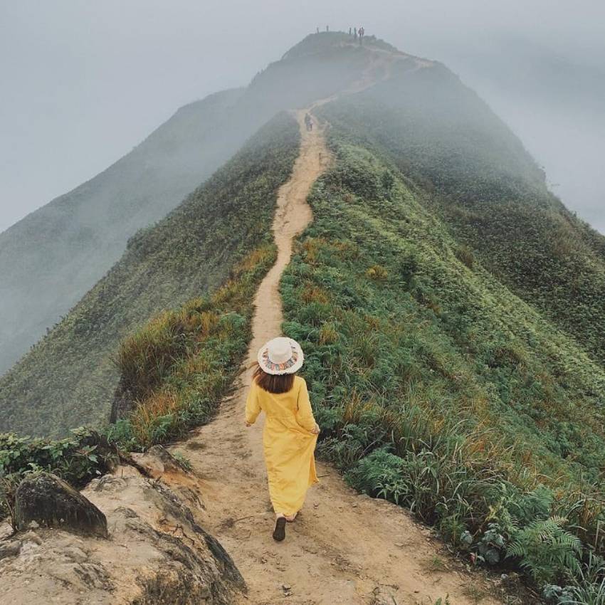 Sống lưng khủng long