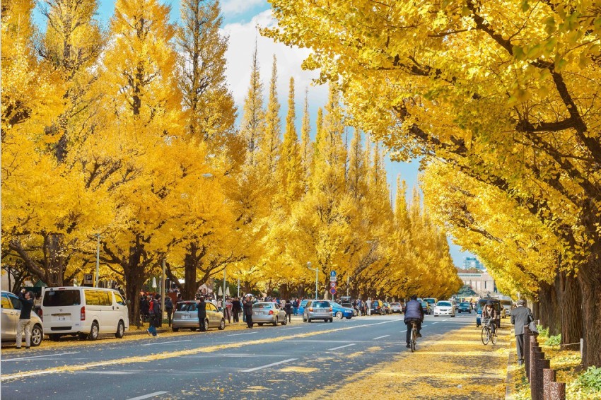 tour du lịch nhật bản