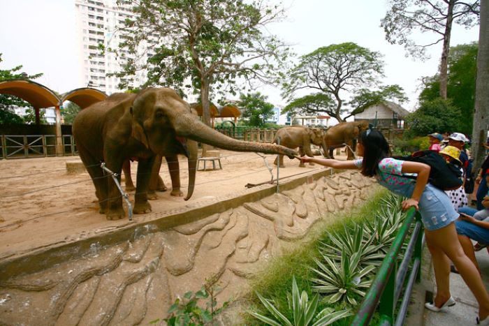 Khám phá Thảo Cầm Viên 