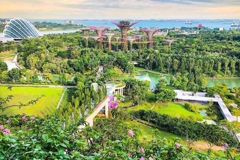 Garden by the Bay