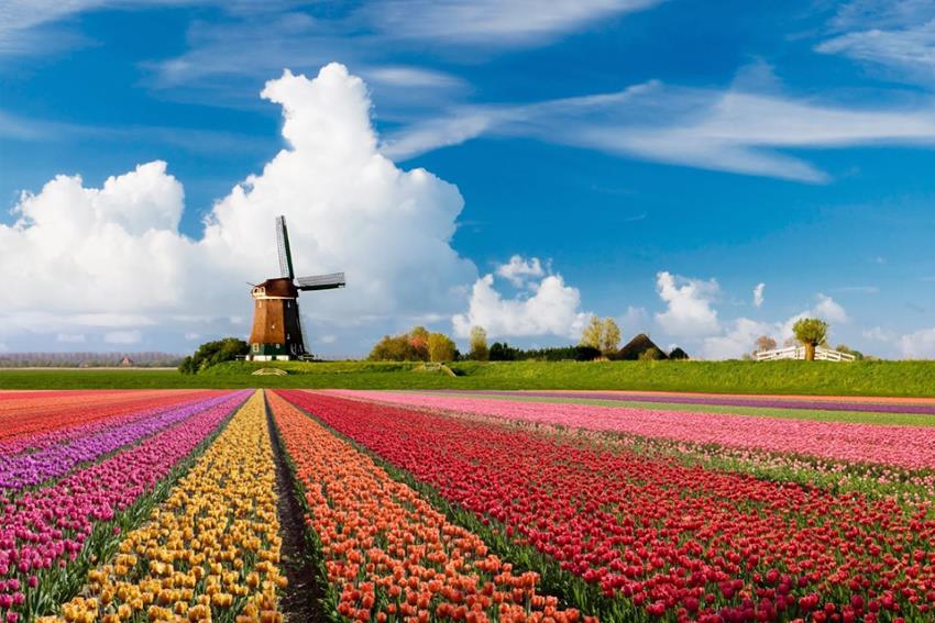 Cảnh sắc thiên nhiên thơ mộng ở đồng quê Zaanse Schans