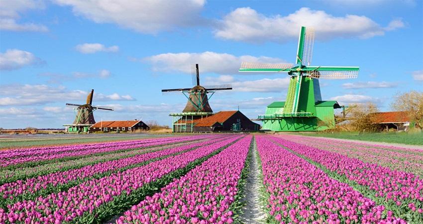 Đắm chìm trong sự bình yên và đẹp đẽ của ngôi làng Zaanse Schans