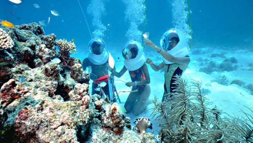 Lặn ngắm san hô là hoạt động thú vị khi đến đảo Coral