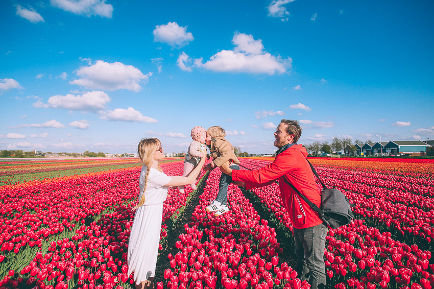Lễ hội hoa Keukenhof rực rỡ màu sắc