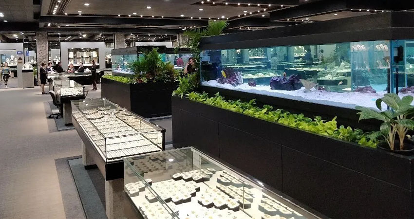 Trải nghiệm tham quan World Gems 