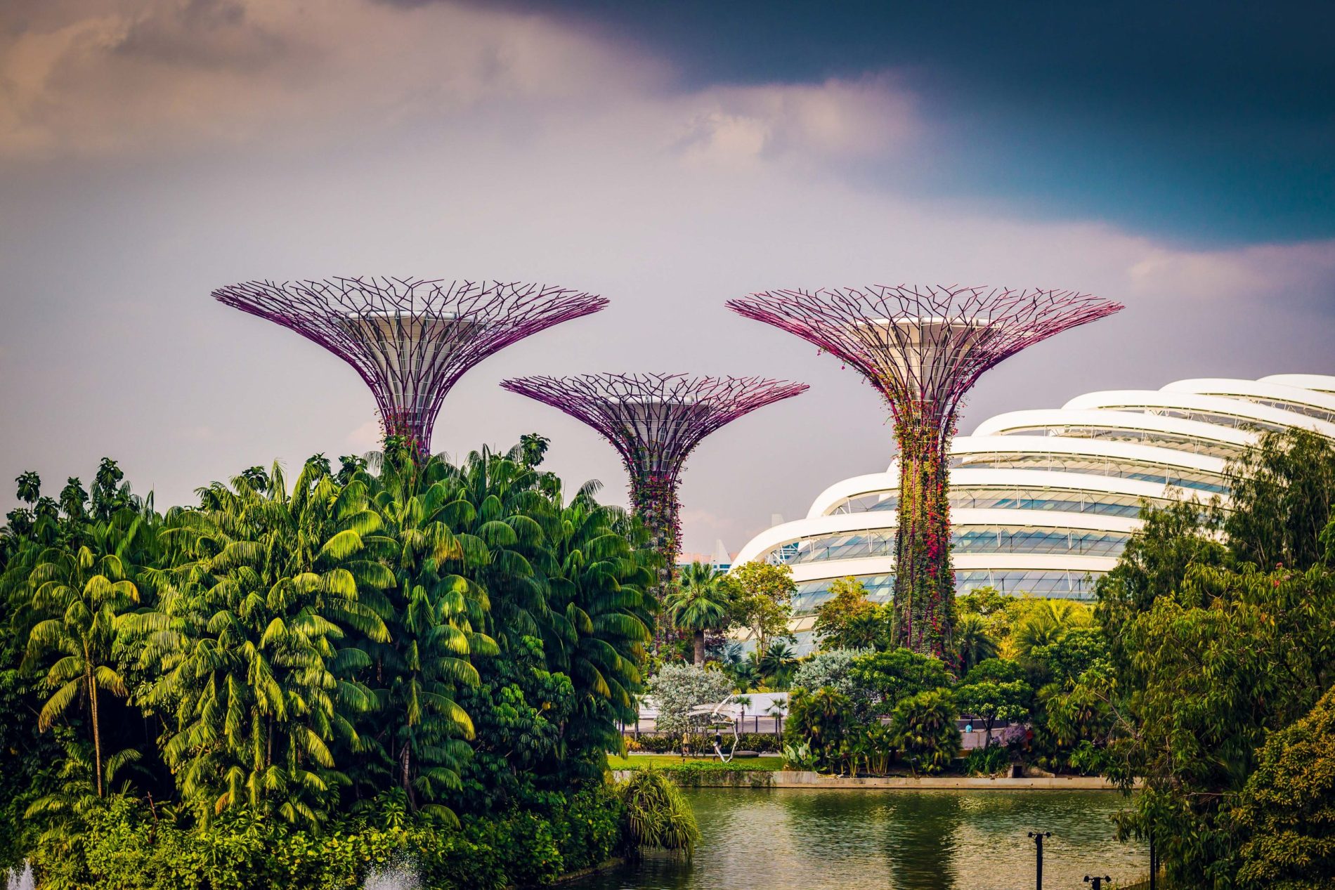 Gardens by the Bay - Singapore