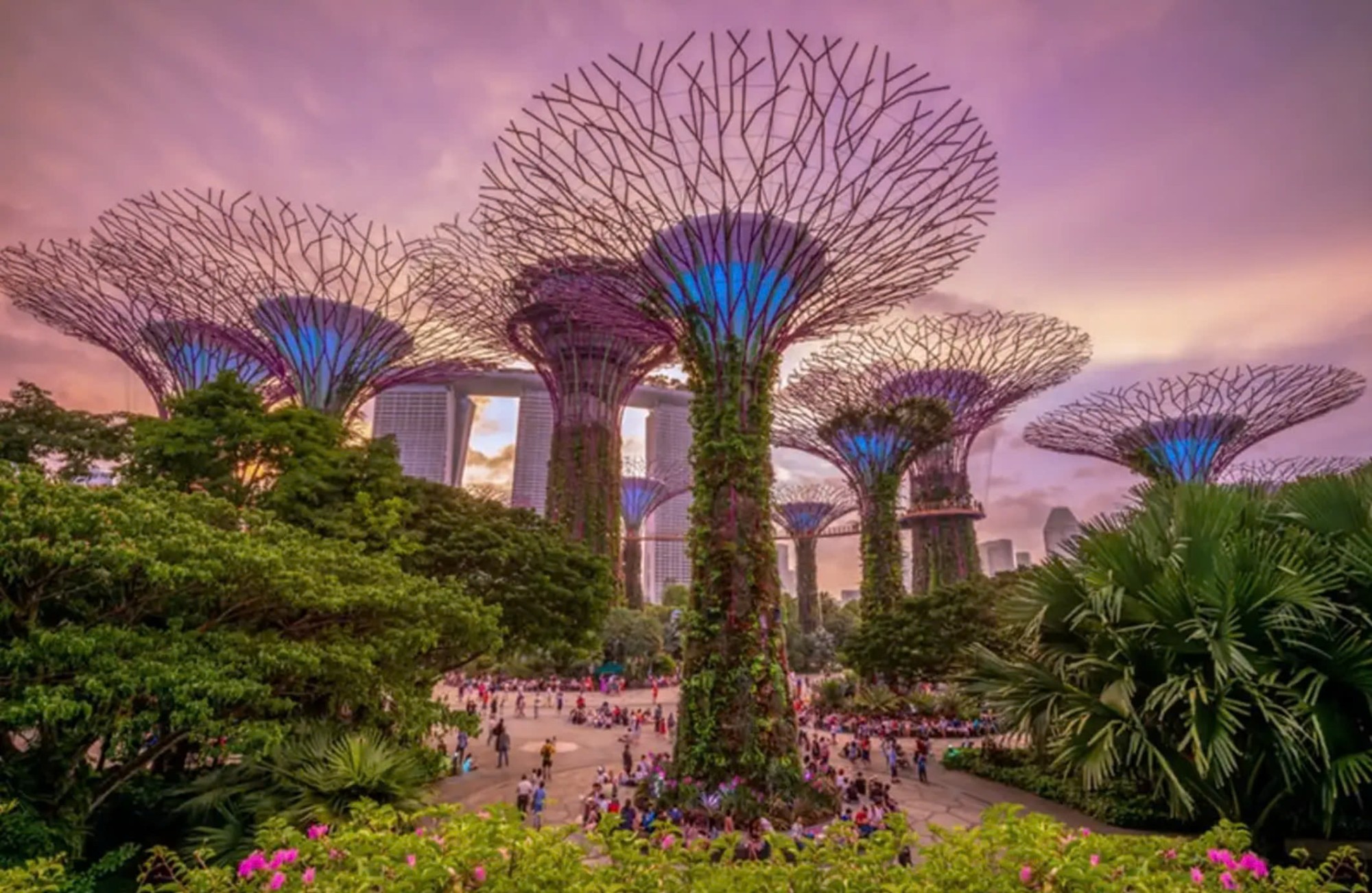 Bay Central Garden