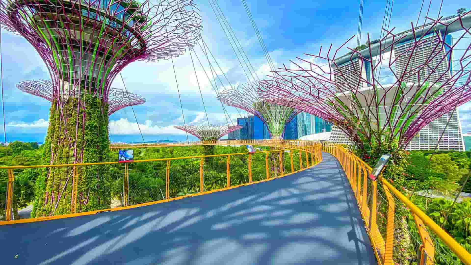 Bay South Garden
