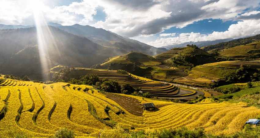 Cảnh đẹp như tranh ở ruộng bậc thang Tú Lệ