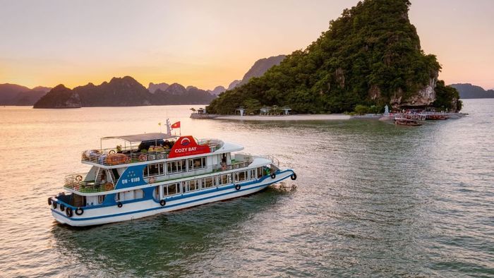 Du thuyền Cozy Bay Premium 1 ngày