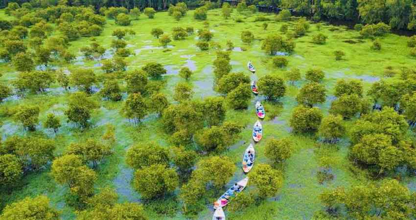 Vẻ đẹp nguyên sơ ở rừng Tràm Trà Sư