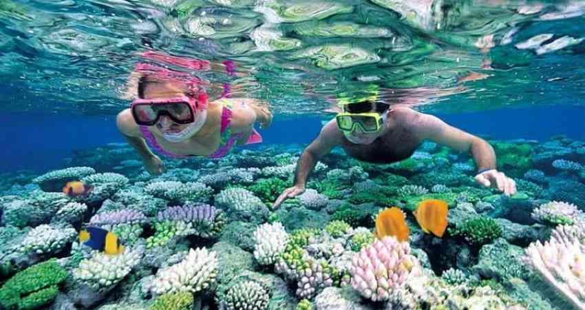 Lặn ngắm san hô là hoạt động thú vị khi đặt tour đi du lịch tới Phú Quốc