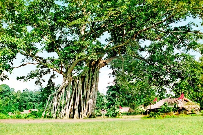 Khu di tích quốc gia đặc biệt Tân Trào-Tuyên Quang