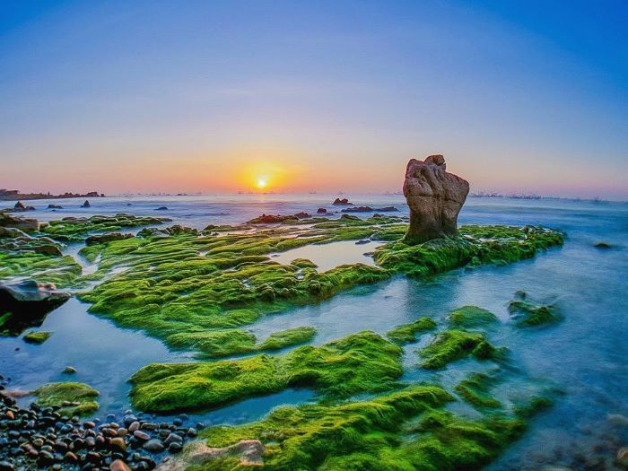Nét độc đáo trên bãi biển Cổ Thạch 