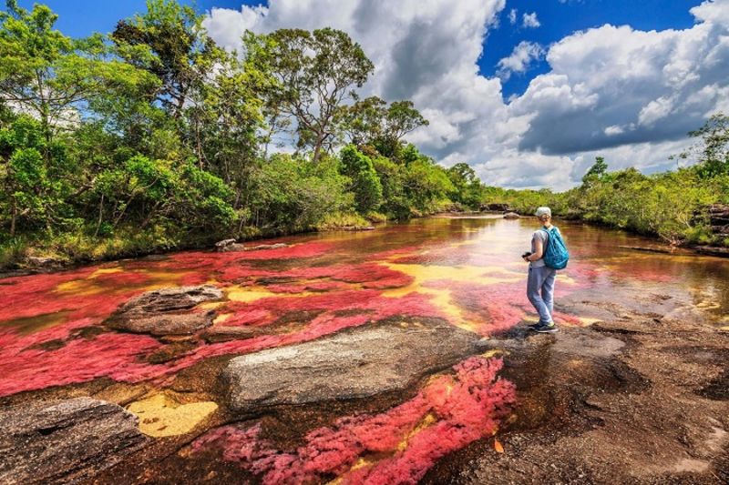 Dòng sông nhiều màu sắc Cano Cristales vô cùng ấn tượng