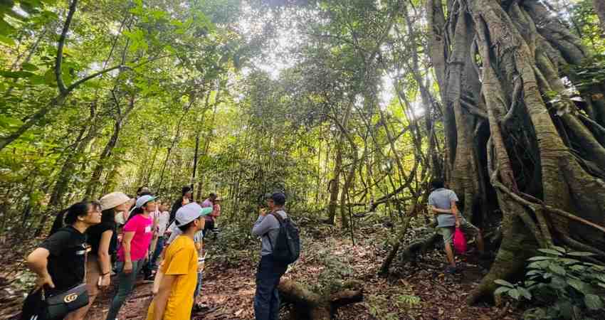 Trekking trải nghiệm hệ thống rừng già bí ẩn với thảm thực vật đa dạng