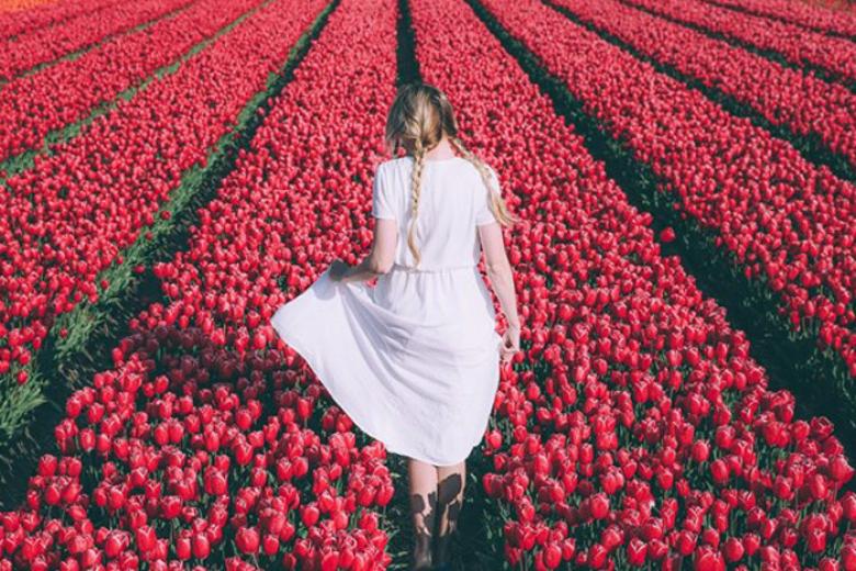 Lễ hội hoa Keukenhof