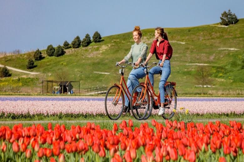 Lễ hội hoa Keukenhof