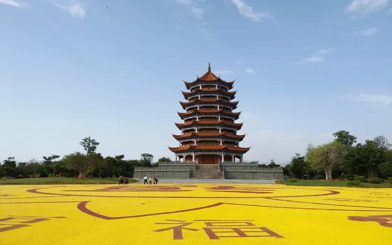 Lầu Chu Tử