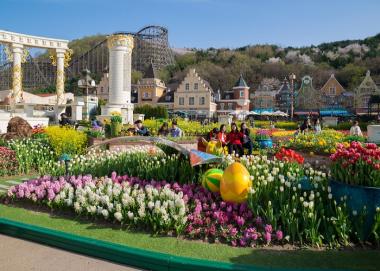 Tour Hàn Quốc 5N4Đ: HCM - Seoul - Nami Island - Everland, Bay Vietjet Air + KS 3*