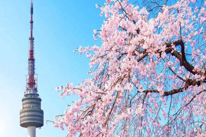 Tháp NamSan Seoul