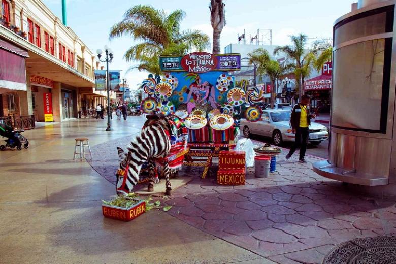 Thành phố Tijuana (Mexico)