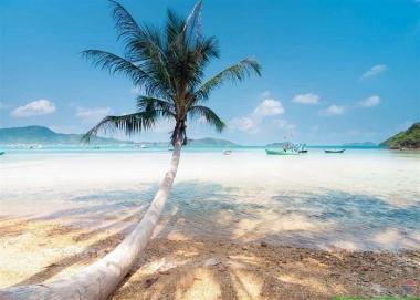 Tour Phú Quốc 3N2Đ: Từ HCM - Hòn Thơm, Vé máy bay + Tặng Buffet Trưa 3 Miền, Vé Máy Bay Khứ Hồi,