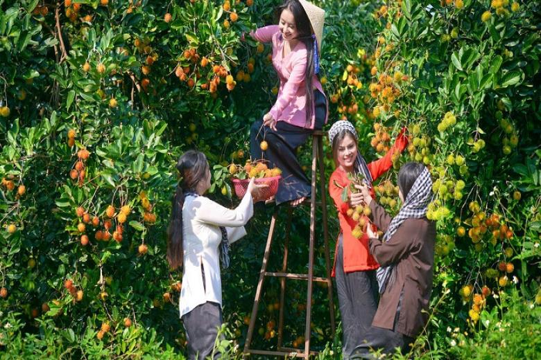 khu du lịch vườn trái cây Mỹ Khánh