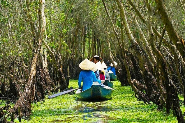 Rừng Tràm Trà Sư
