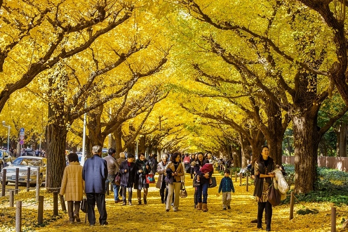 Công viên Meiji Jingu Gaien