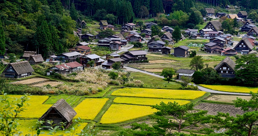 Làng cổ Shirakawago