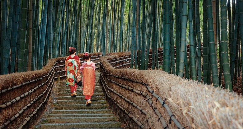 Rừng tre Sagano