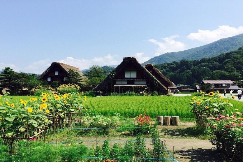 Làng cổ Shirakawago