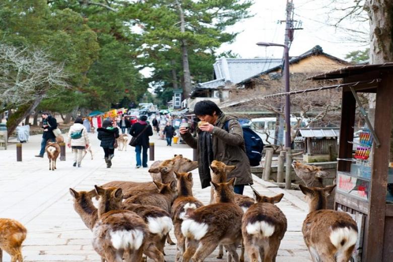 Nara Park