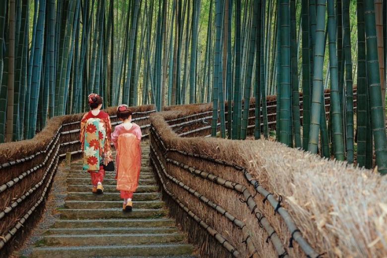 Rừng tre Sagano